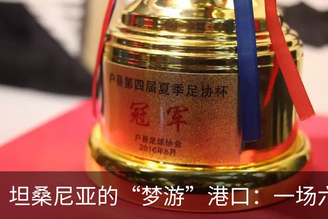 坦桑尼亚的“梦游”港口：一场六年的草地之旅